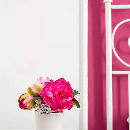 Guest house Romantica Vatican House *